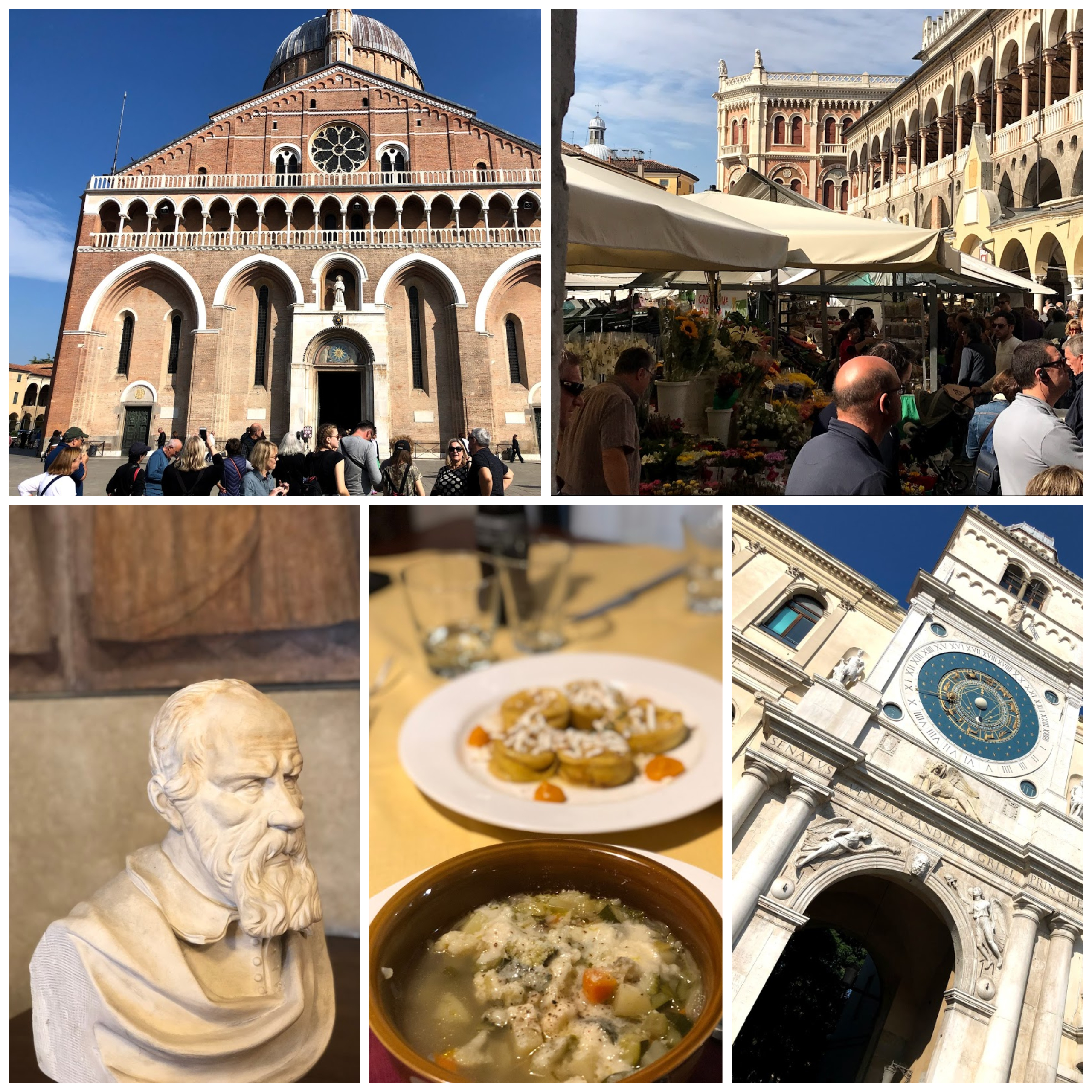 What to Do, Where to Eat, and What to See in Padua Italy